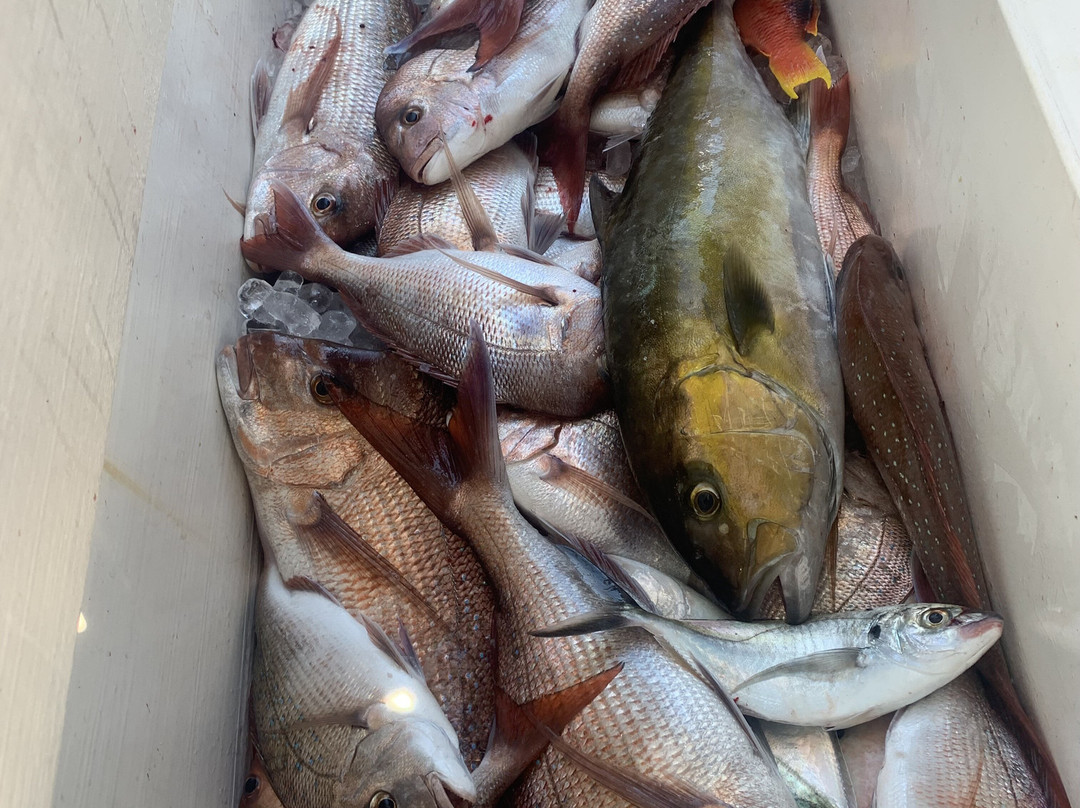 Frenzy Charters-布里斯班必去景点