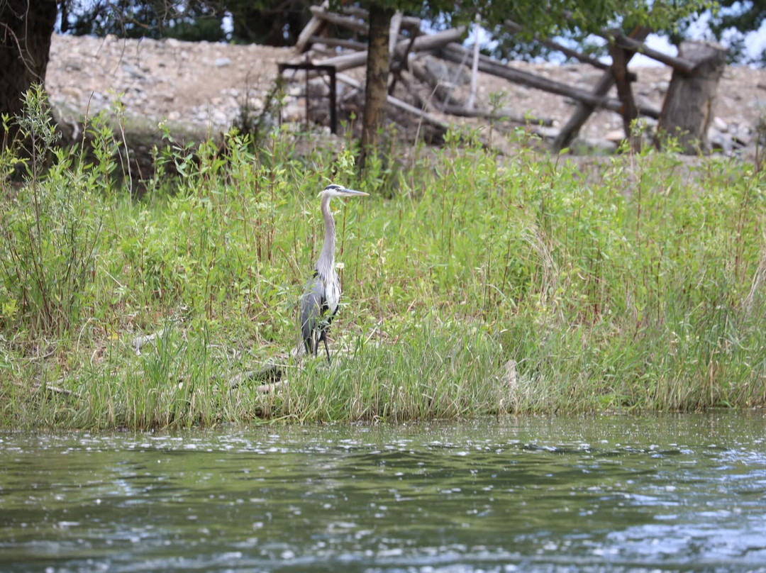 Rawhide Outfitters-Salmon必去景点
