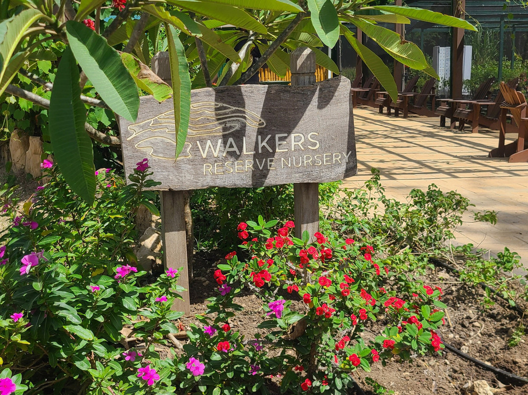 Walkers Reserve-布里奇顿必去景点