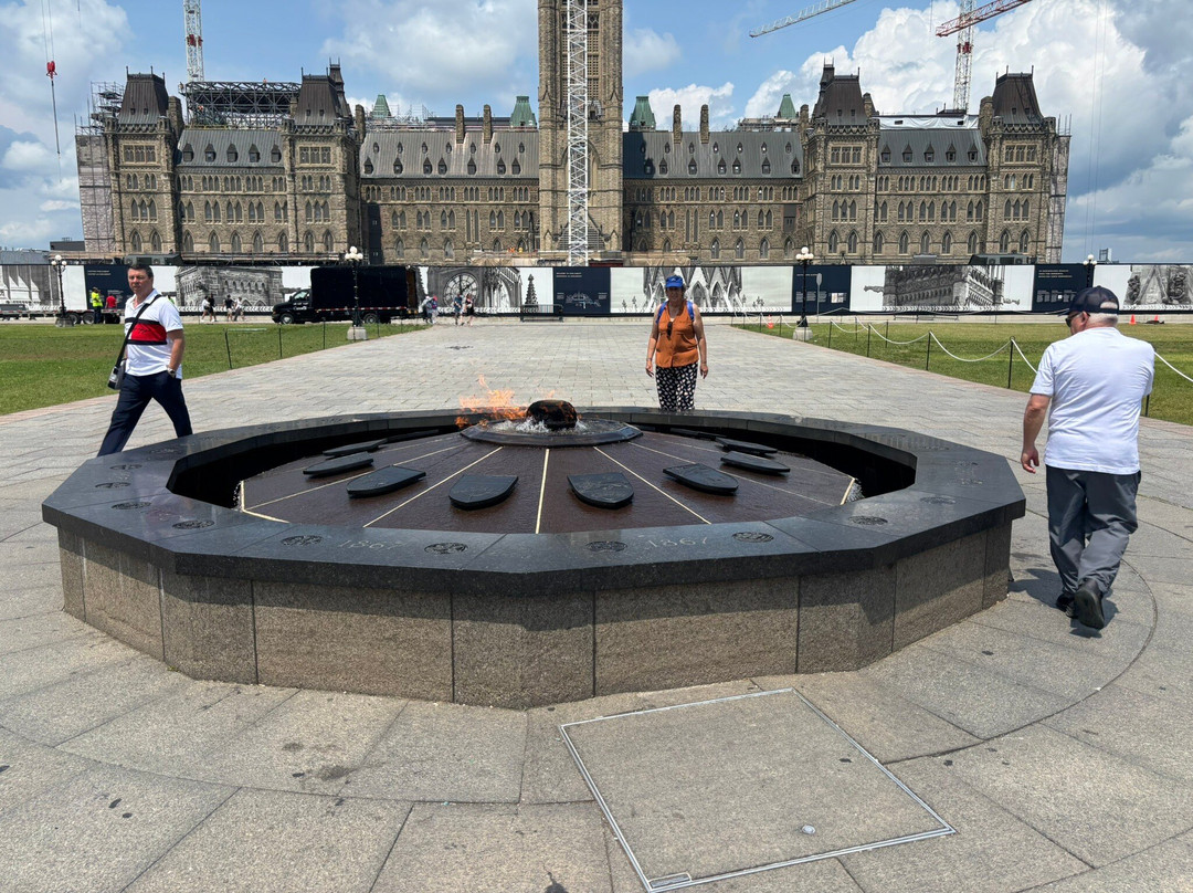 Toonie Tours Toronto-多伦多必去景点