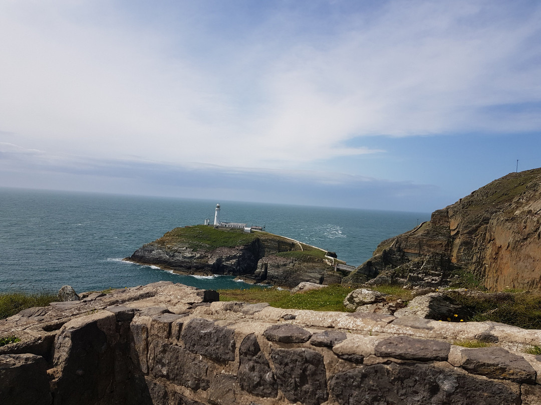 South Stack Cliffs RSPB Reserve-Holyhead必去景点