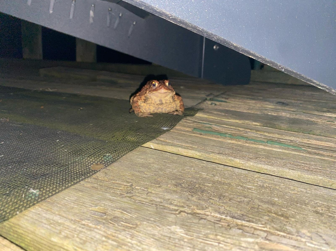 Black Creek Provincial Park-Stokes Bay必去景点