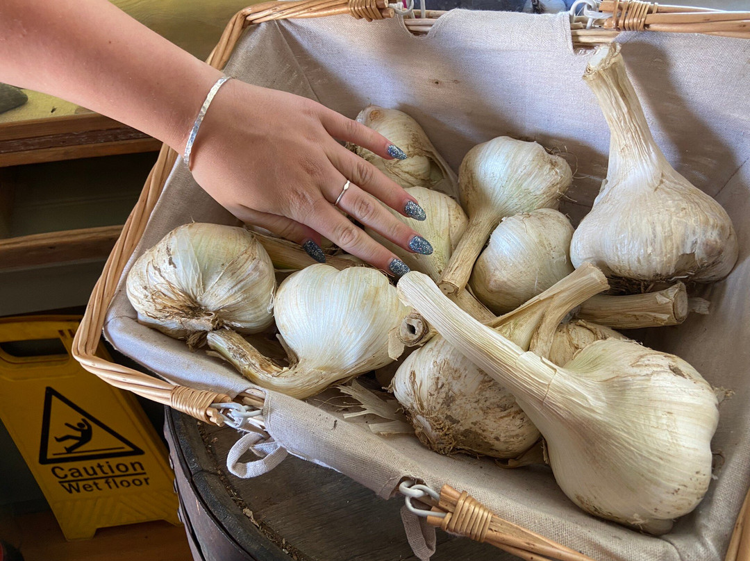 The Garlic Farm-Newchurch必去景点