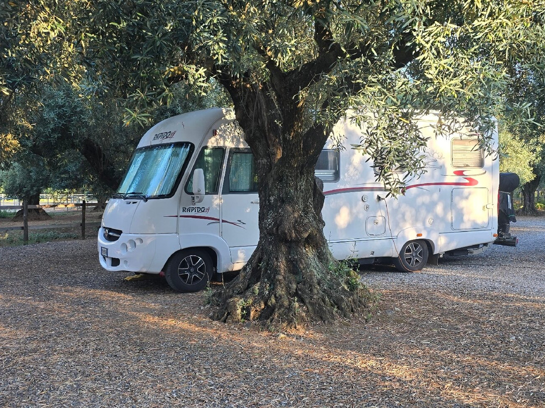 Feudo delle Querce azienda agrituristica主图