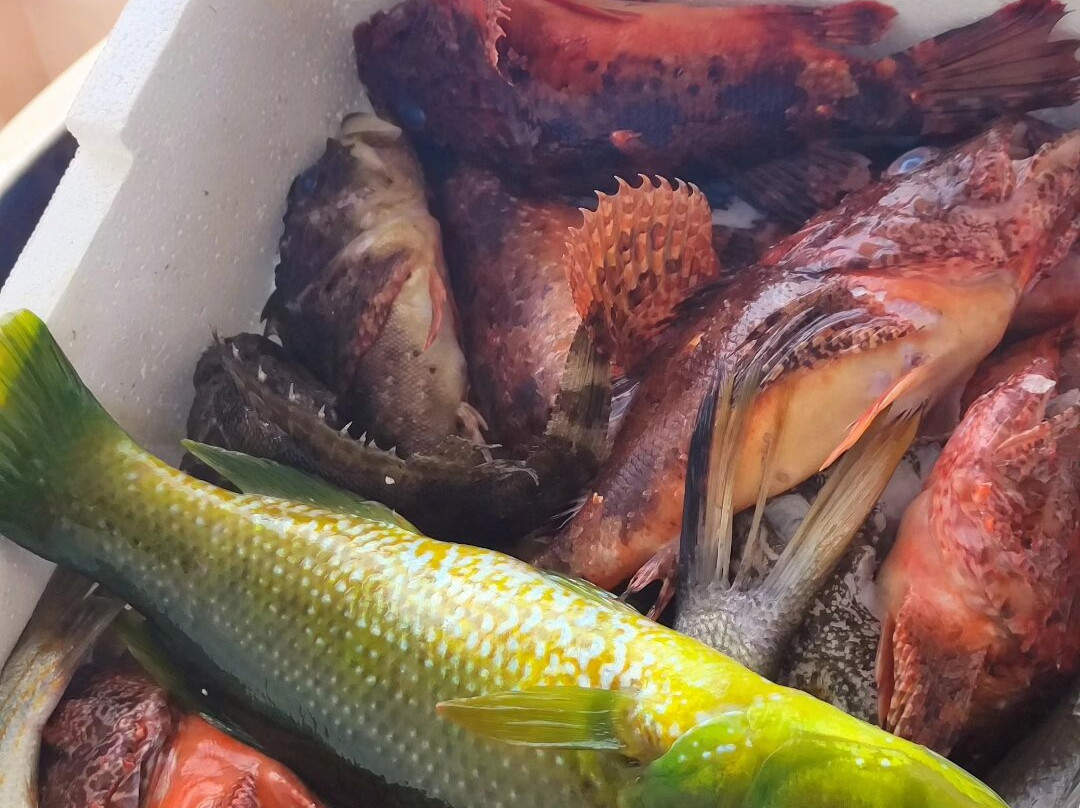 Pescaturismo La Barca dei Matti-Campo nell'Elba必去景点