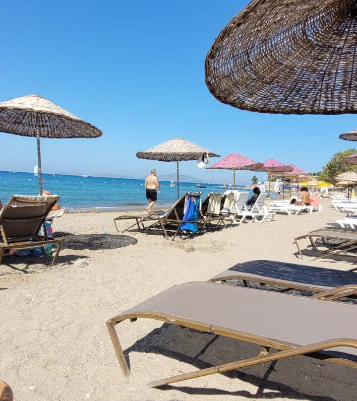 Bendis Beach Hotel主图