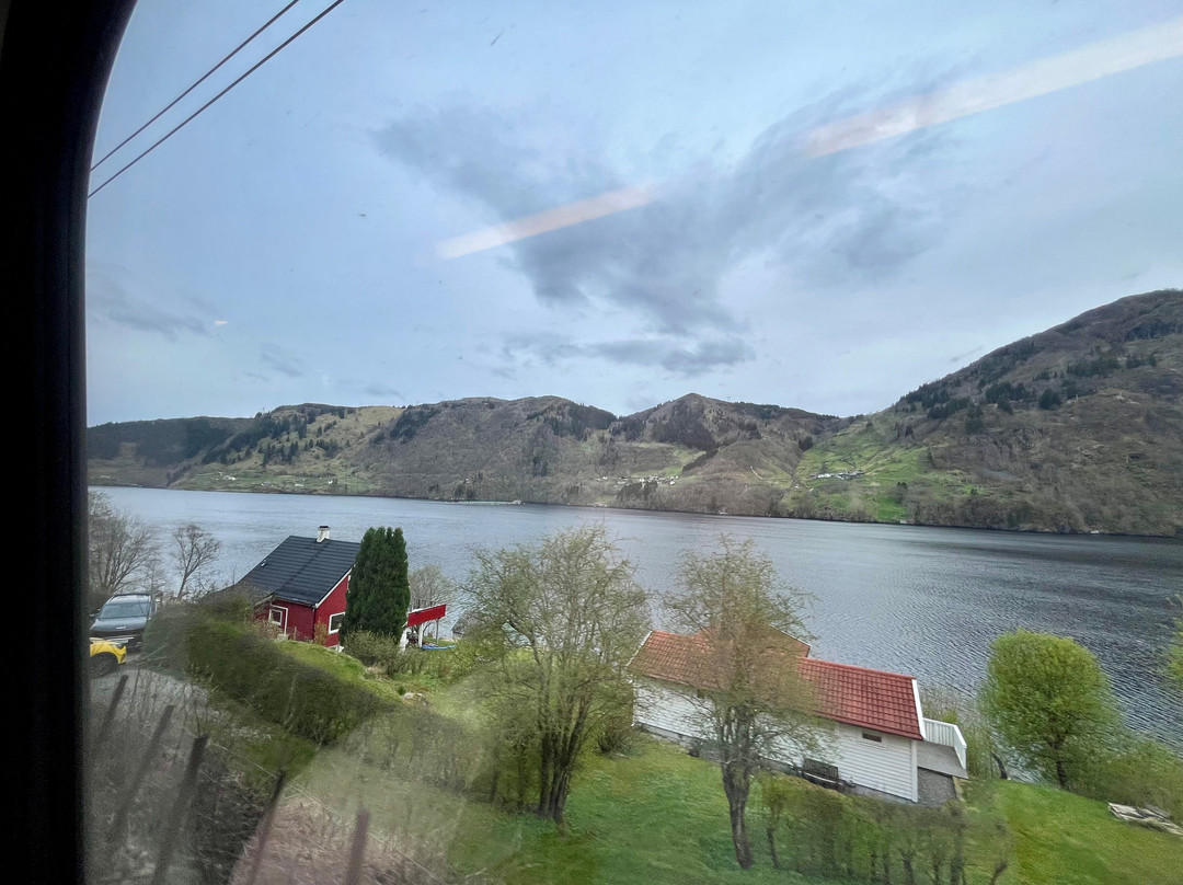 Bergen to Oslo Train Ride-卑尔根必去景点