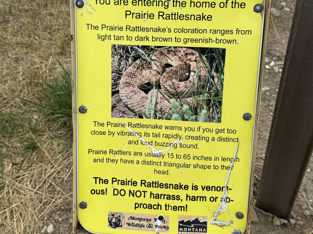 First Peoples Buffalo Jump State Park-Ulm必去景点