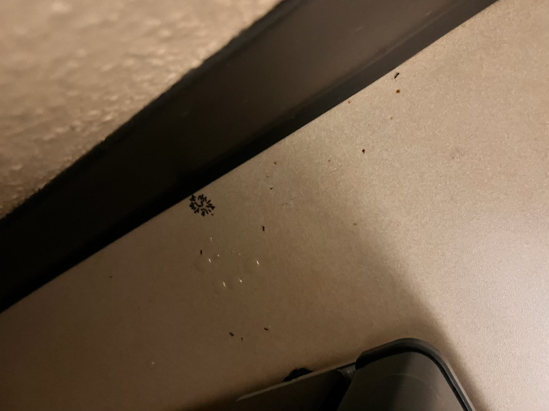 瓦格邦德主教酒店主图