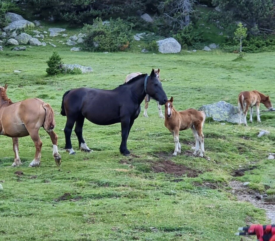 Panorama Trails-Terradelles必去景点