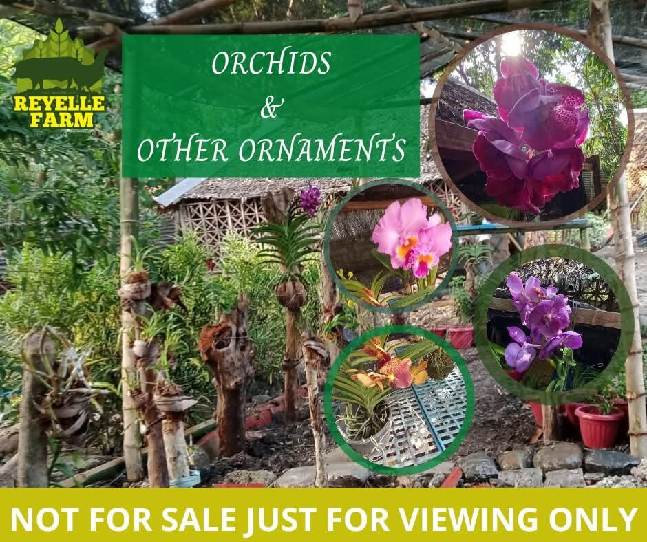 Gallo Agri-Tourism Park-San Miguel必去景点