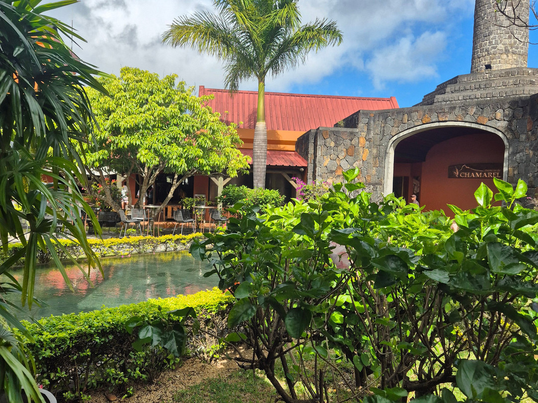 Antonio Taxi Mauritius-Palmar必去景点