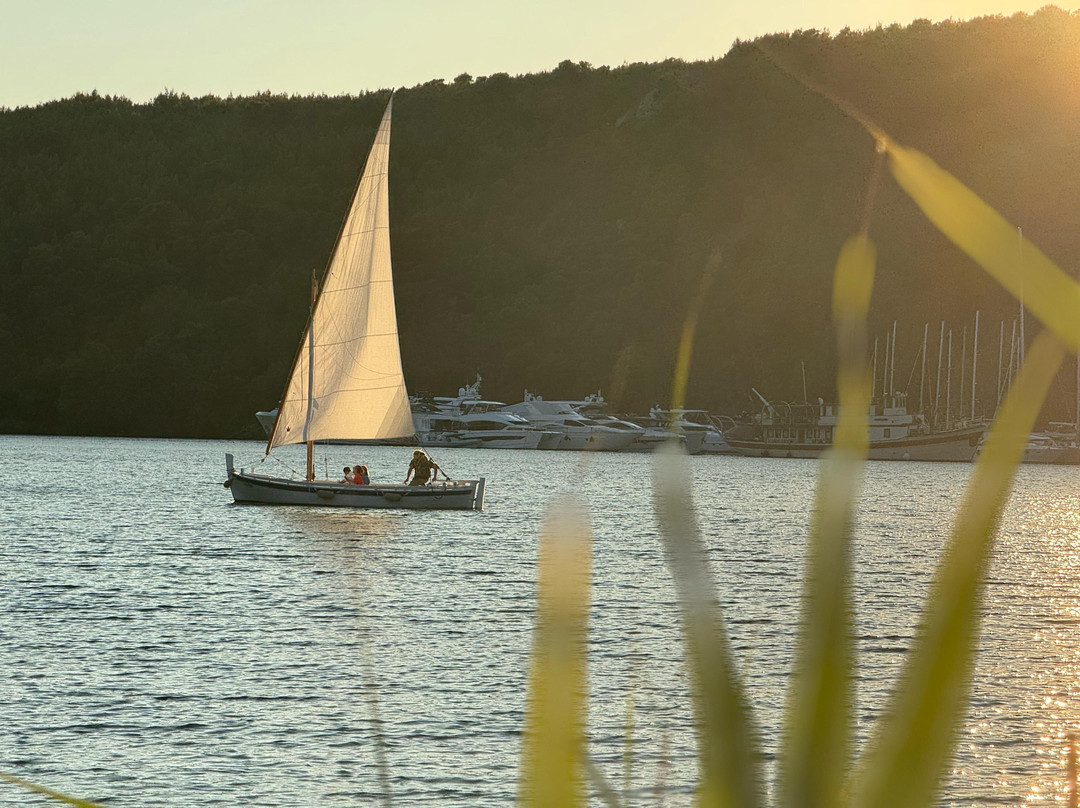 Sailing & Wine Experience