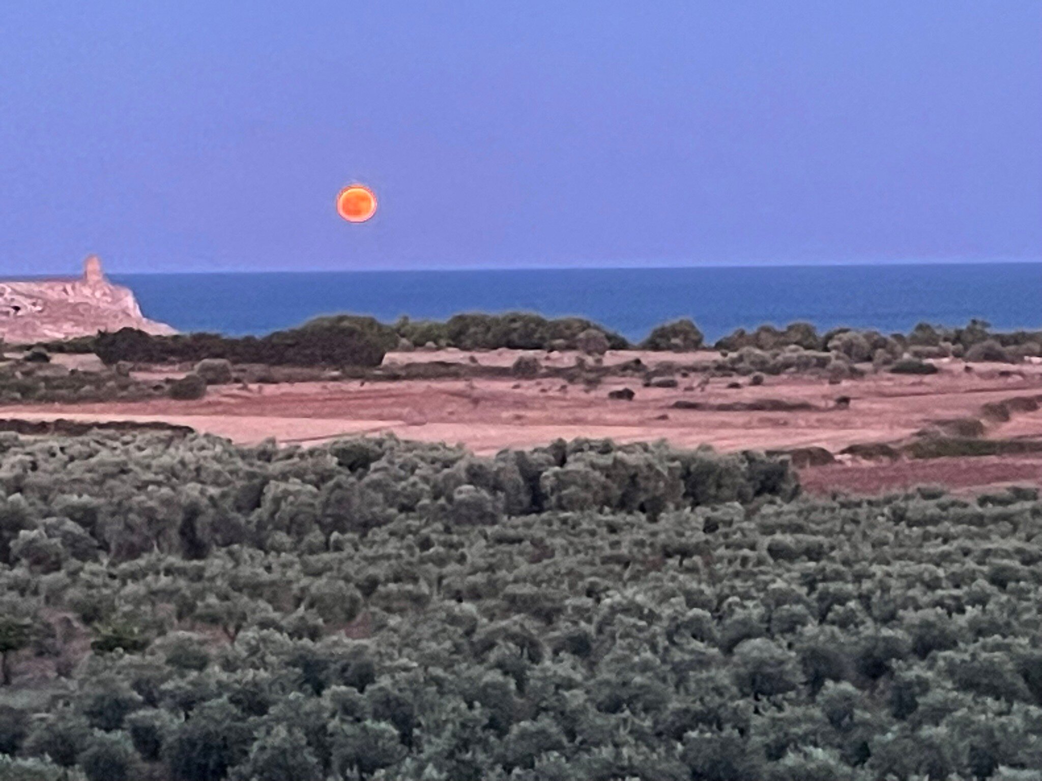 Masseria Panareo-官方