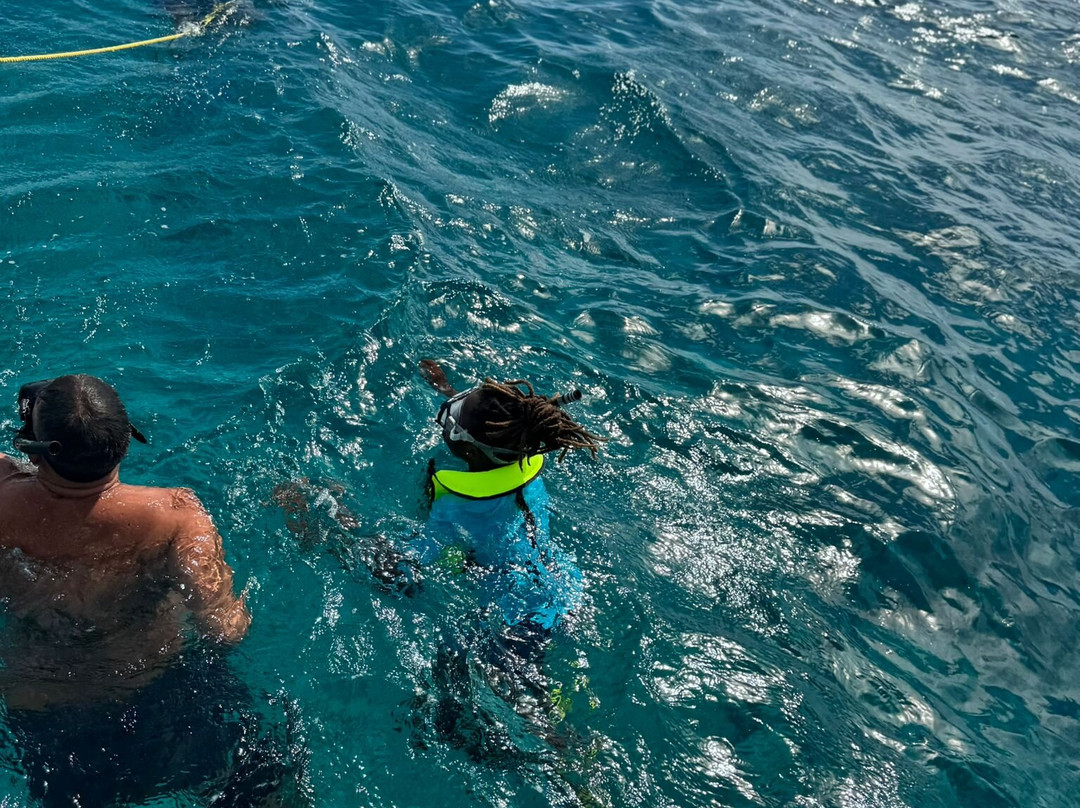 Ocean Vibes Scuba & Watersports-格雷斯湾必去景点