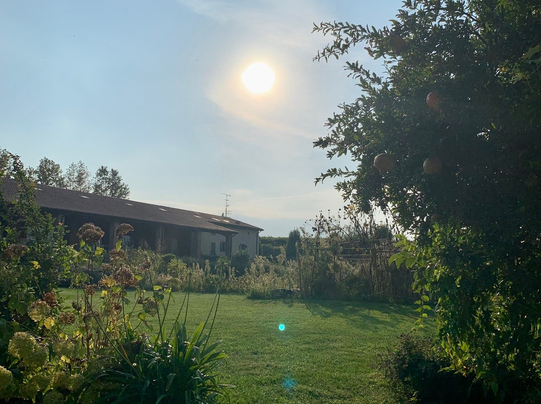 Relais Corte Guastalla Apartments主图