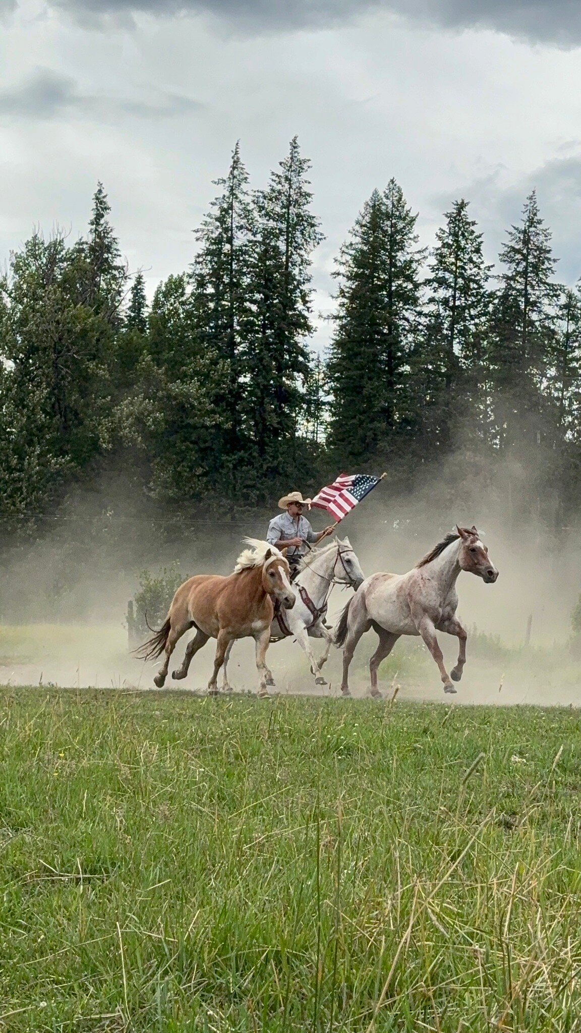 Western Pleasure Guest Ranch-官方