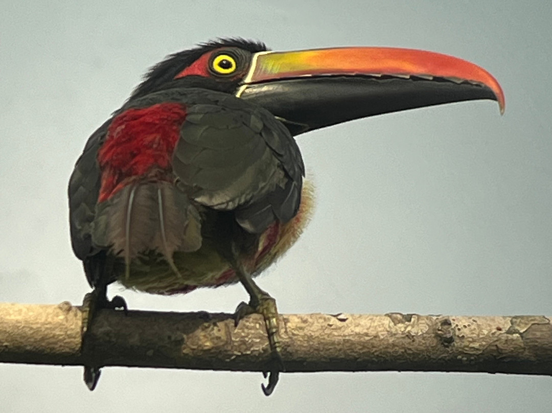 Casita y Tours Happy Feet主图