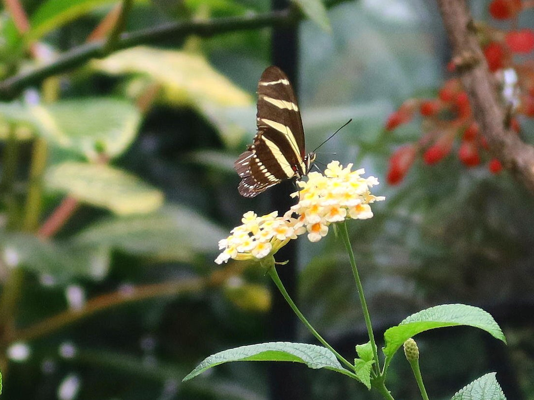 Lakeland Wildlife Oasis-Milnthorpe必去景点