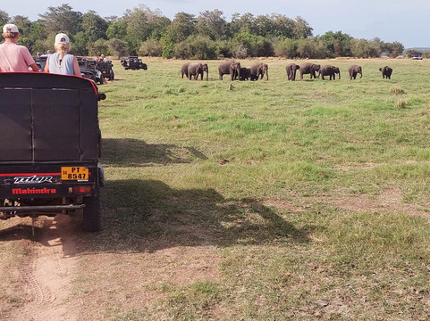 Nalin Jeep Safari-锡吉里亚必去景点