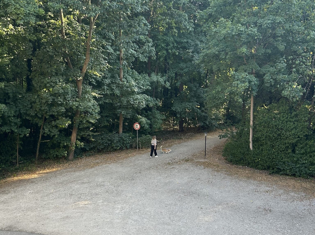 H+ Hotel Nürnberg主图