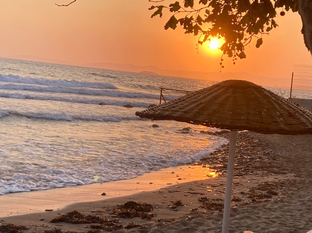Dogan Paradise Beach Hotel主图