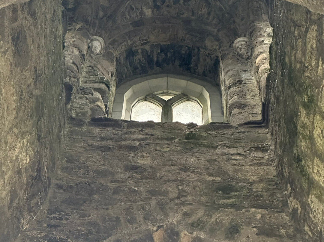 Magdalene Tower-Drogheda必去景点