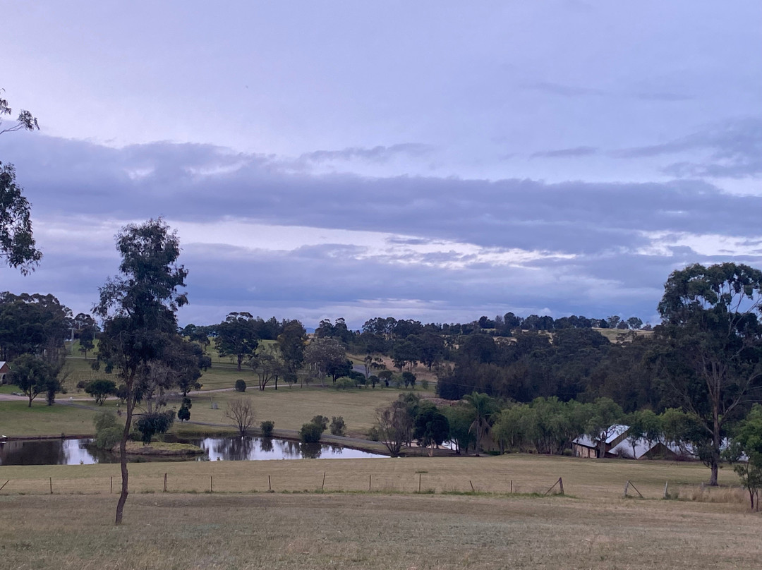 胡椒树客屋旅馆主图