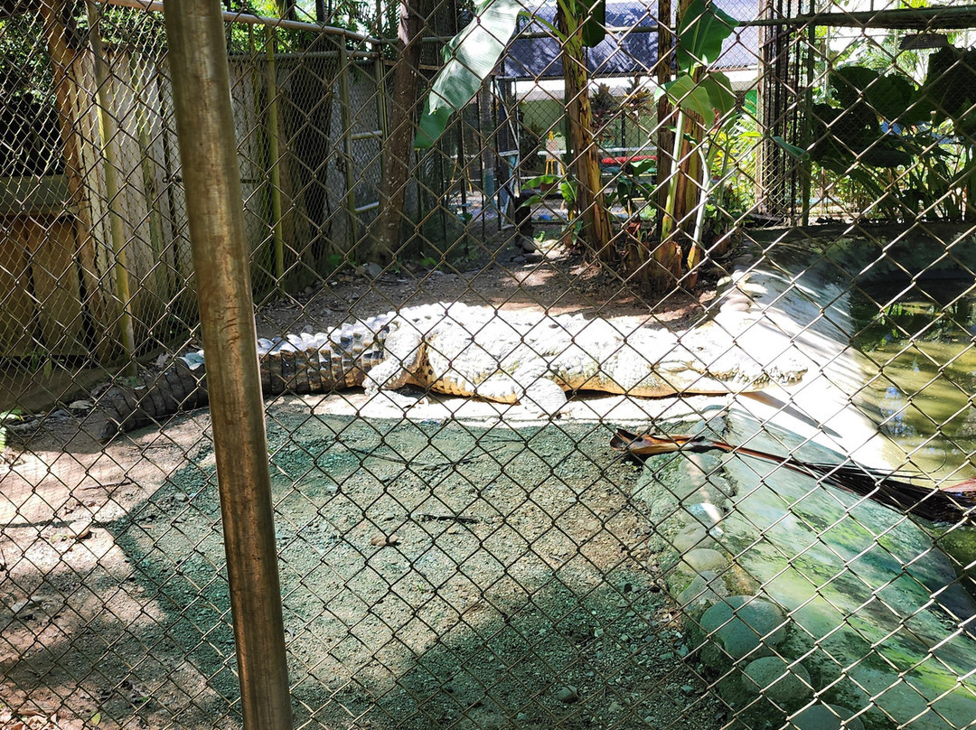 Congo Canopy Tours-Artola必去景点
