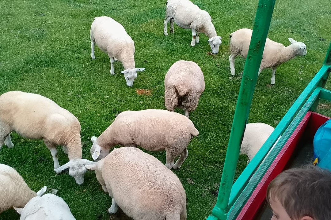 Fantasy Farm Park-Llanrhystud必去景点