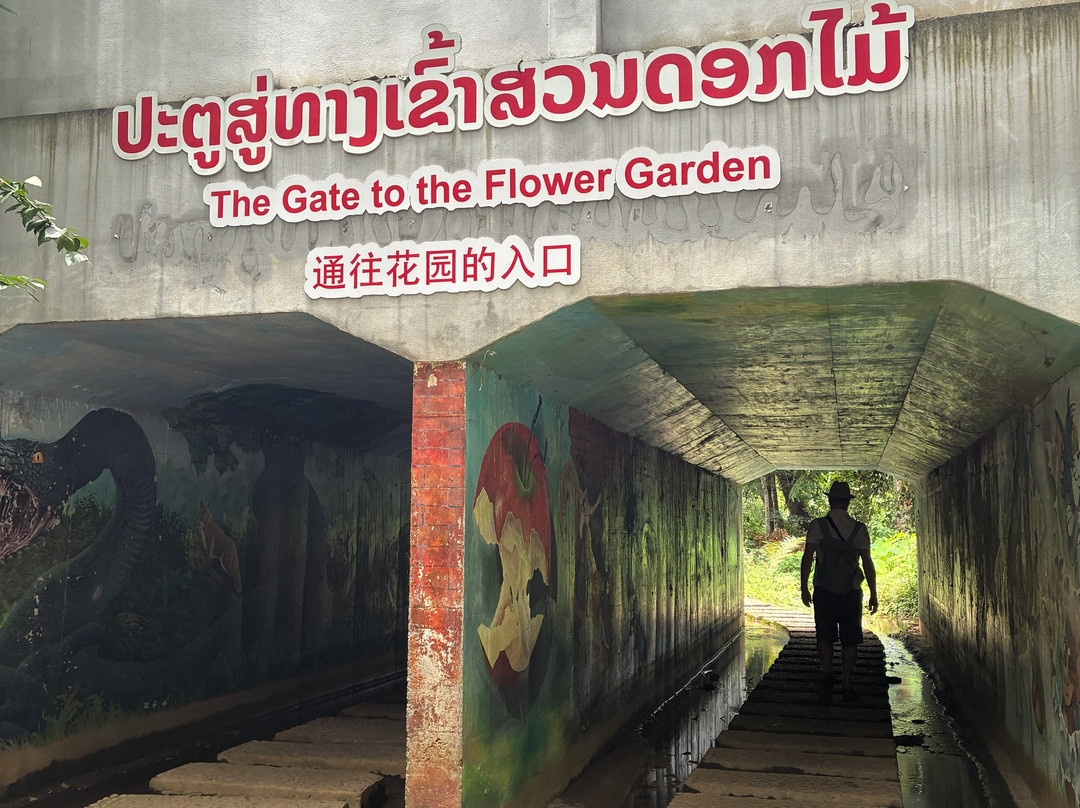 Green Jungle Park@Hoi Khua Waterfall-琅勃拉邦必去景点