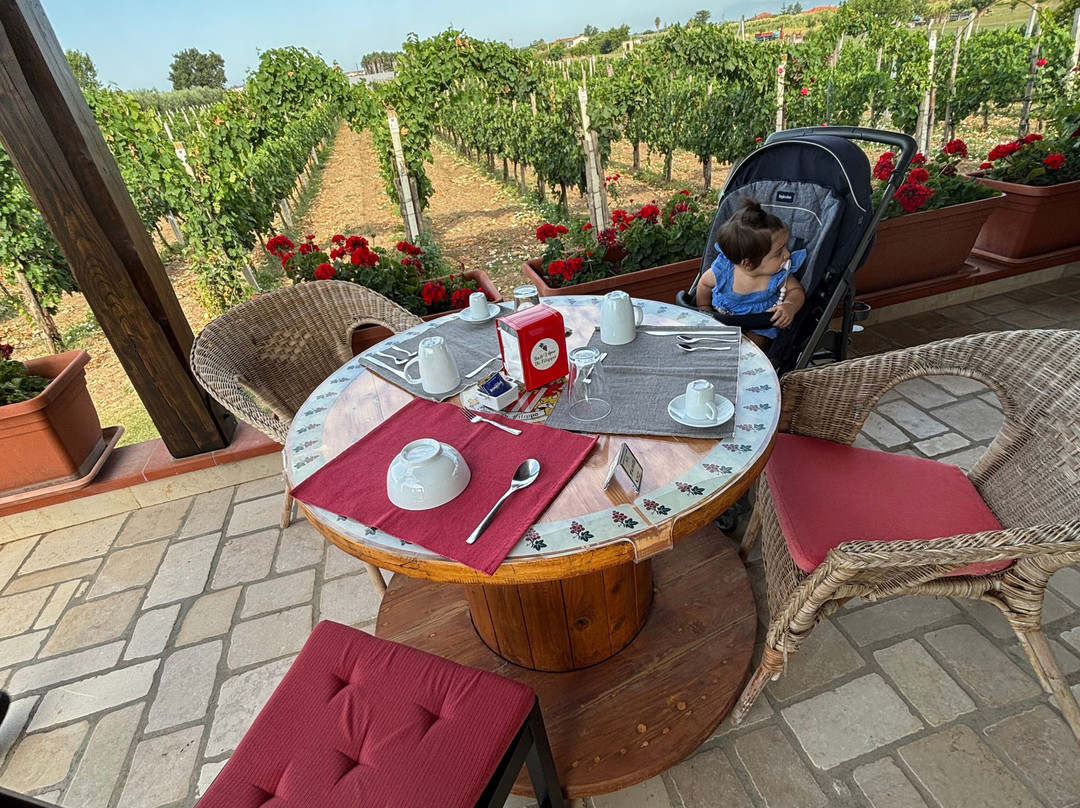 B&B Vigna Di Filippo主图