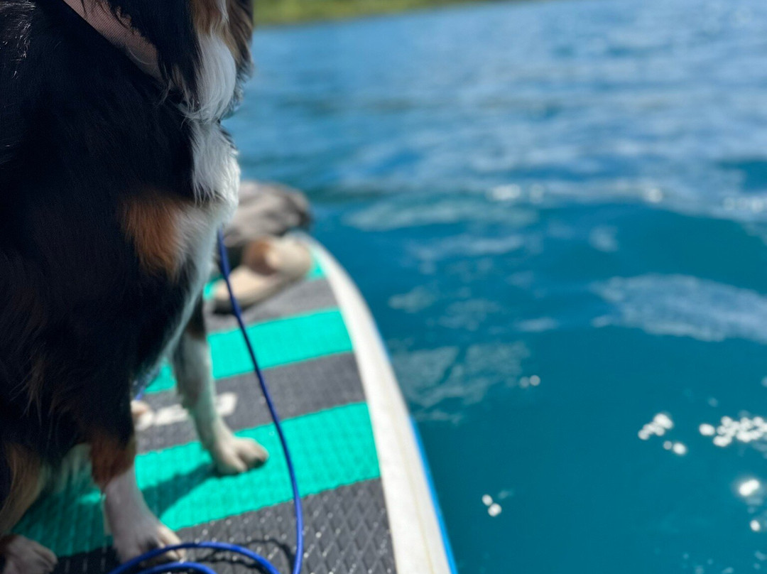 Kentucky Alleyne Provincial Park-Forest Grove必去景点