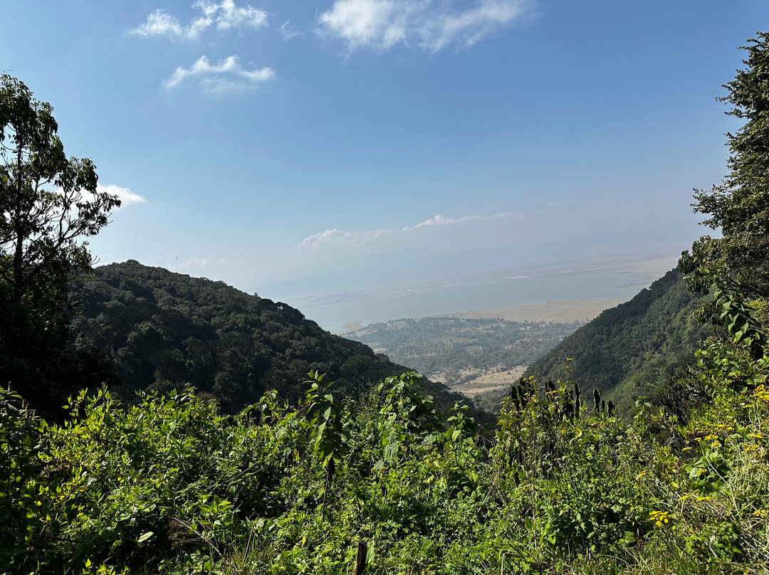 SIRINGETI GUIDE AND PHOTOGRAPHIC TRIP-姆万扎必去景点