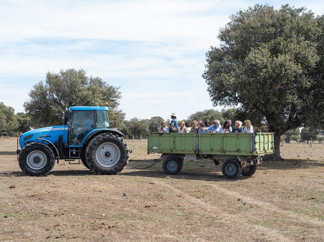 Ganaderia Antonio Palla-Ledesma必去景点