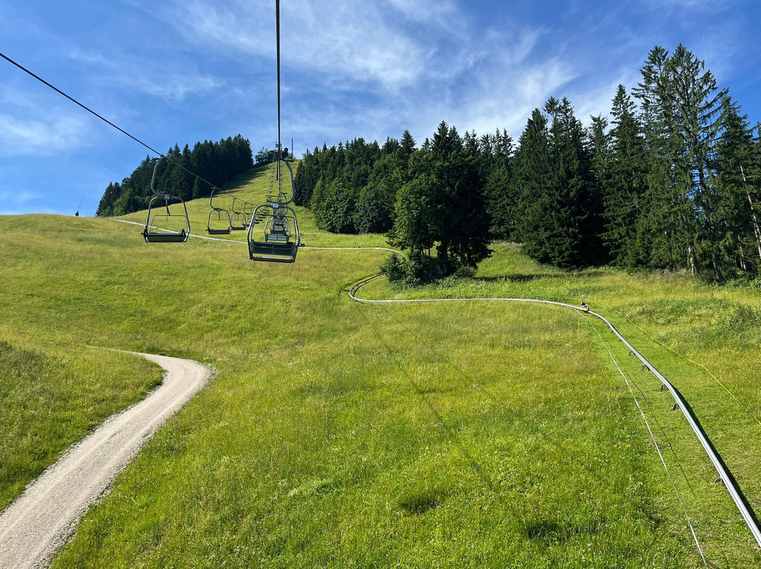 Sommerrodelbahn Keltenblitz-泉杜伦山必去景点
