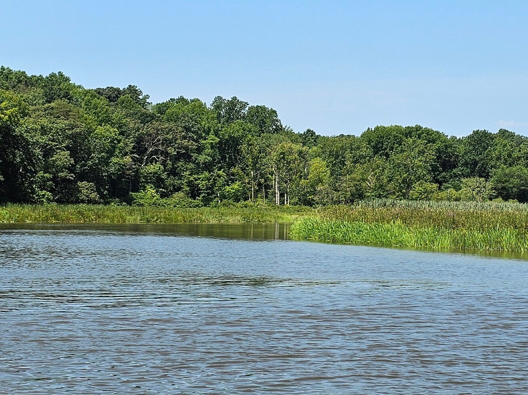 Elk River Park-埃尔克顿必去景点