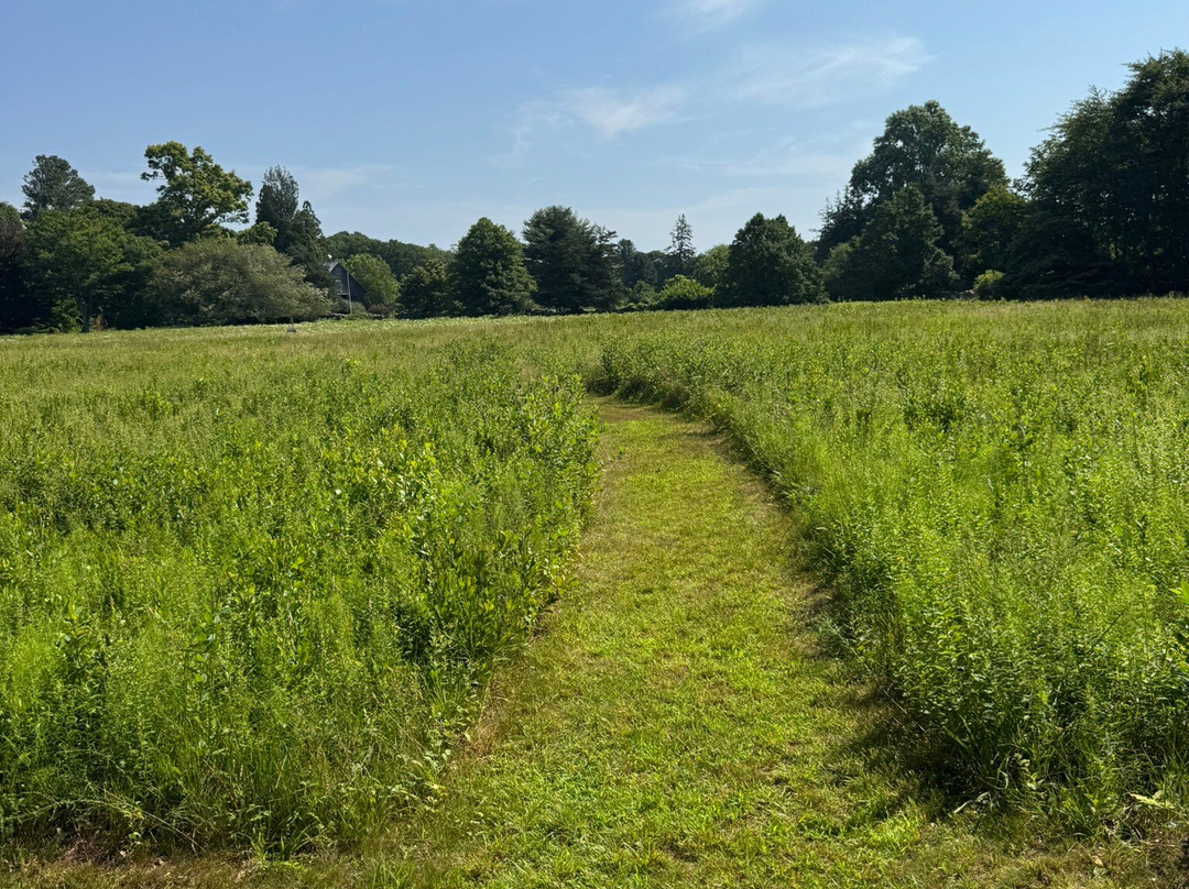 Polly Hill Arboretum-West Tisbury必去景点