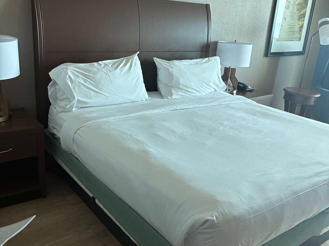 Hilton Garden Inn Virginia Beach Oceanfront主图