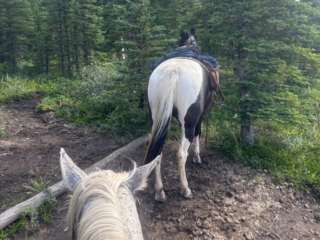 Old Entrance B 'n B Cabins & Teepees主图