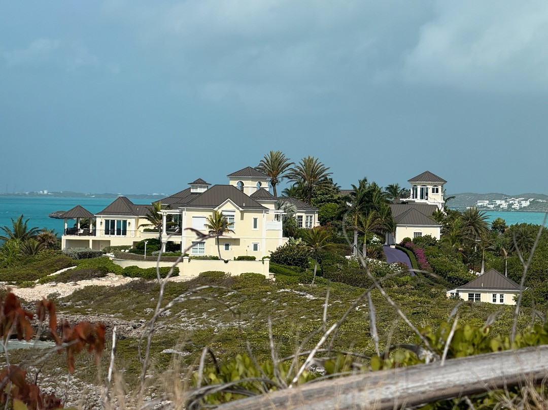 Famous East Island UTV Tour-Turtle Cove必去景点