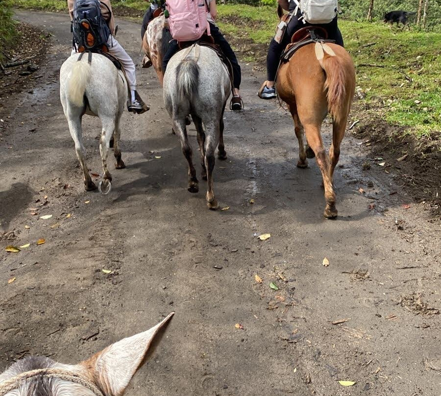 Lilander's Horse Tours-El Castillo必去景点