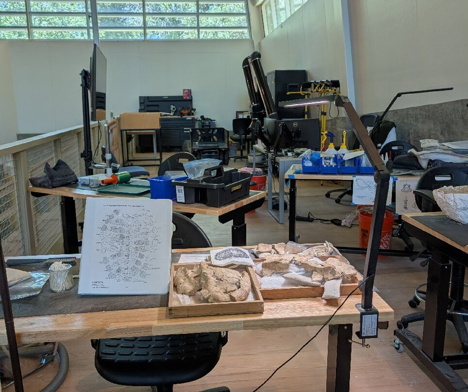 Waco Mammoth National Monument-韦科必去景点