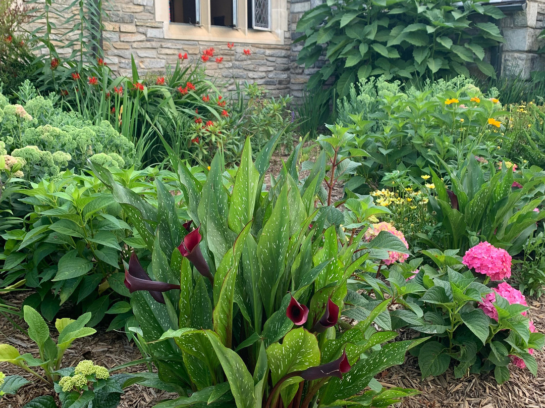 Lake Junaluska Conference and Retreat Center主图