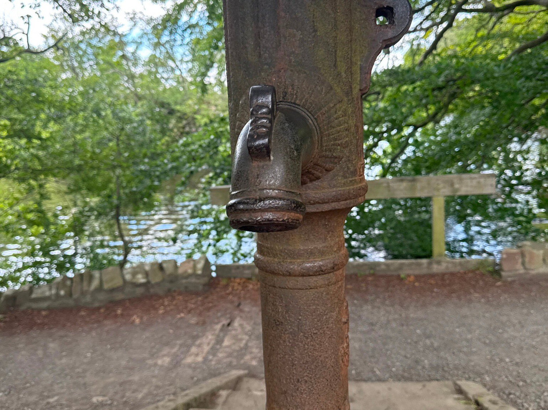 Bolam Lake Country Park-Belsay必去景点