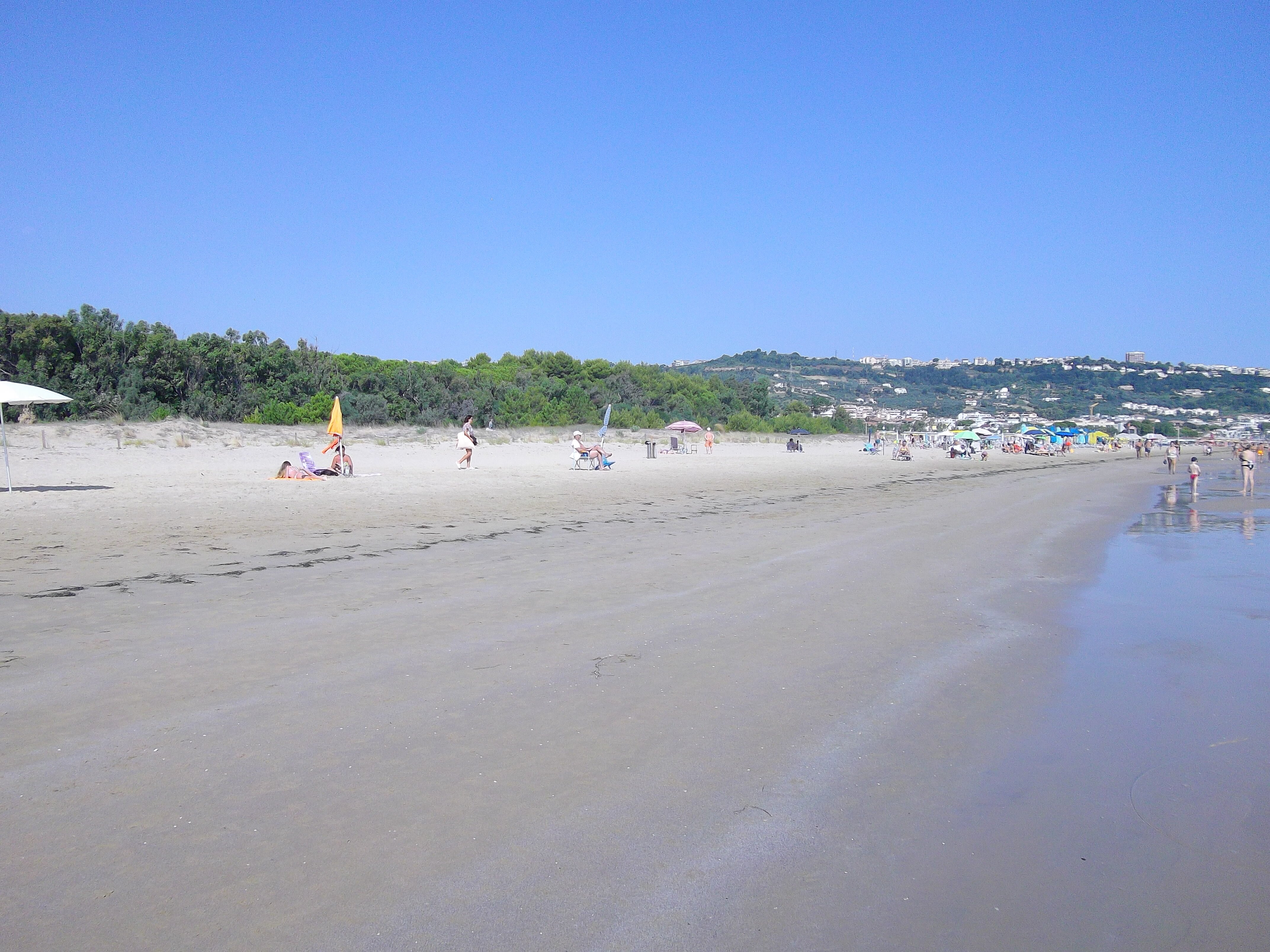 Hotel Holiday-泳池