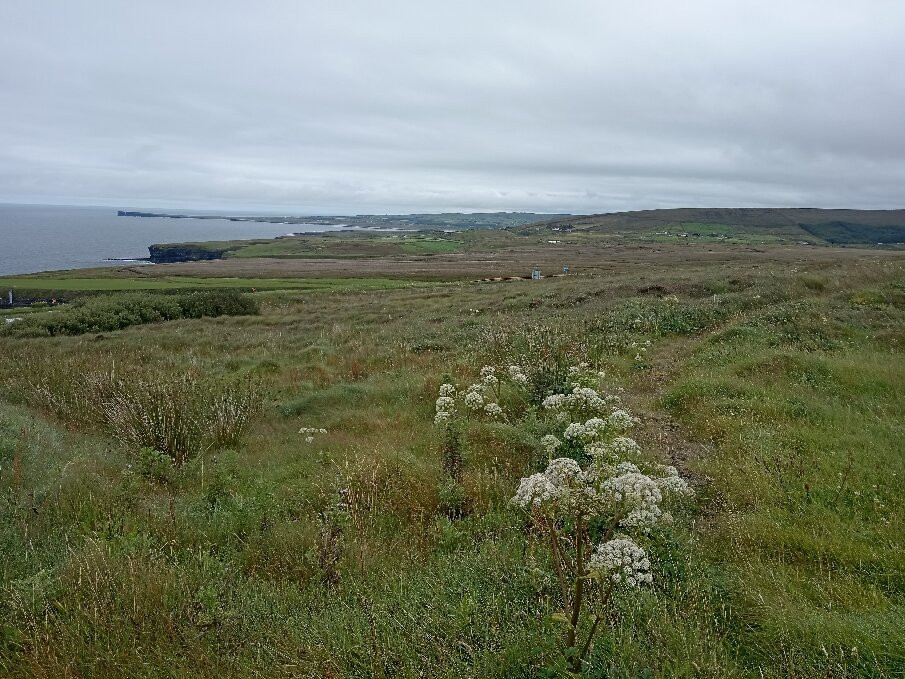 Céide Fields-County Mayo必去景点