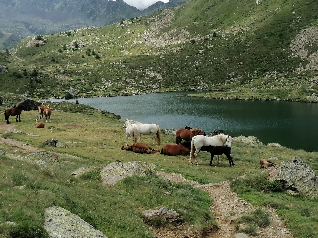 Estanys de Tristaina-Ordino必去景点