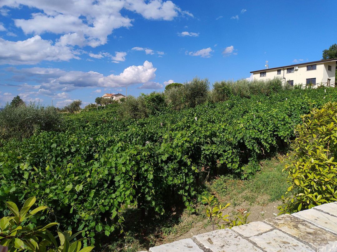 Cantine Iannella