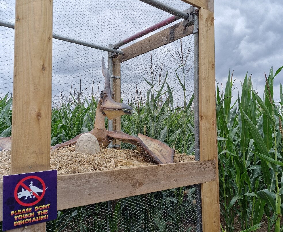 Fantasy Farm-Heather必去景点